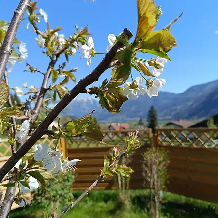 Appartement Ferienwohnung Ardning *
