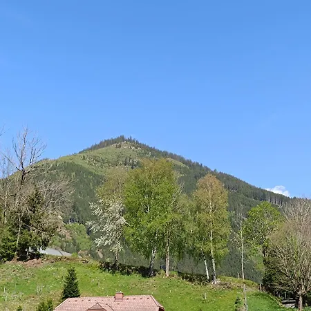 Ferienwohnung Ardning *