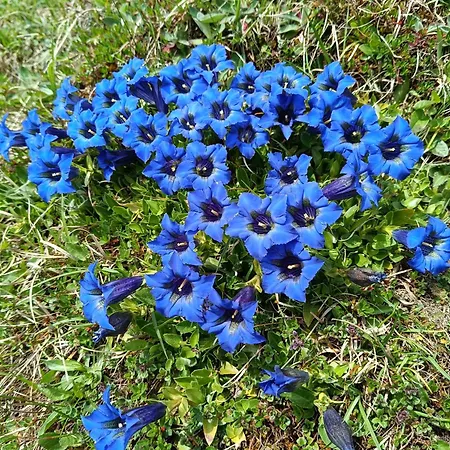 Ferienwohnung Ardning Ardning