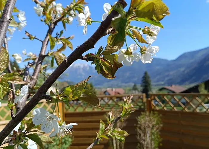 Lägenhet Ferienwohnung Ardning *