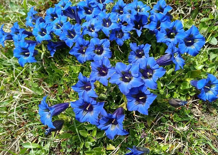 Ferienwohnung Ardning Ardning